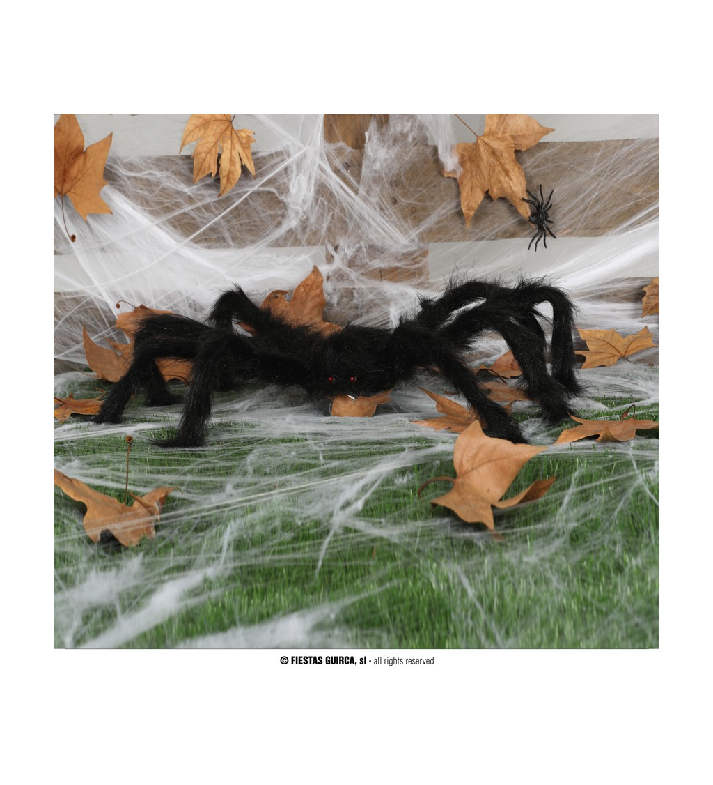 Chlupatý černý pavouk dekorace