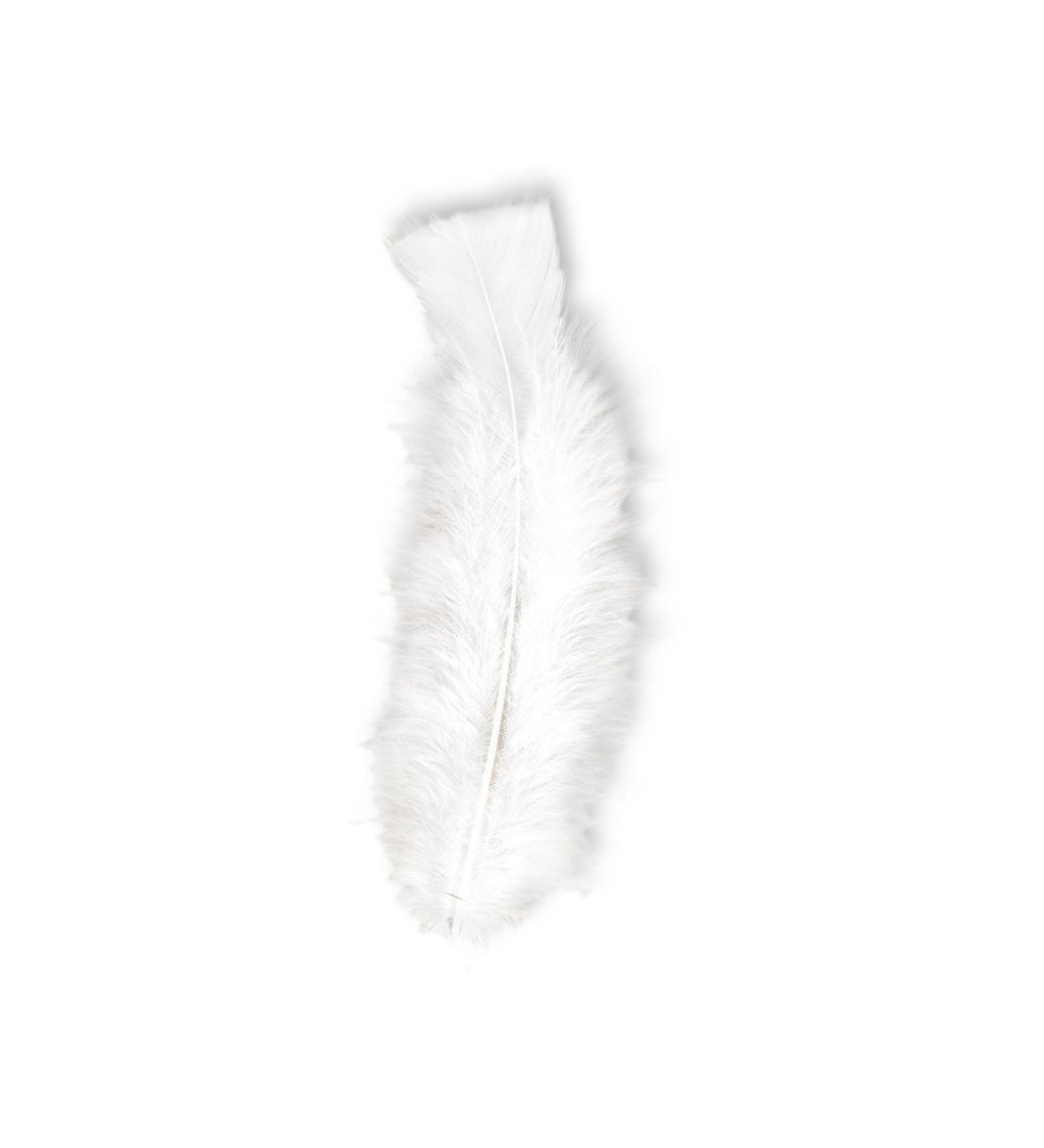 Peříčka v bílé barvě