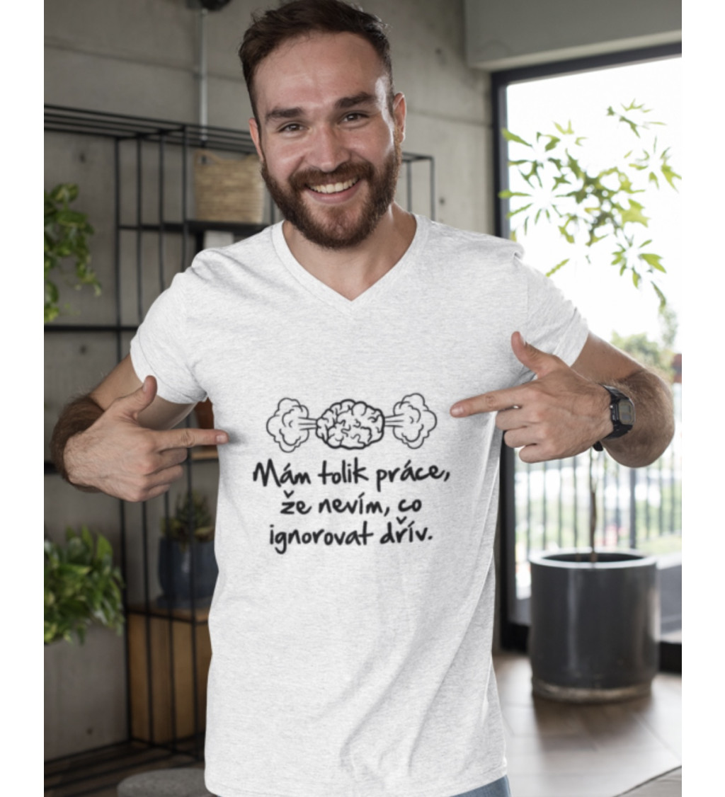 Nažehlovací motiv: Mám tolik práce, že nevím co ignorovat dřív