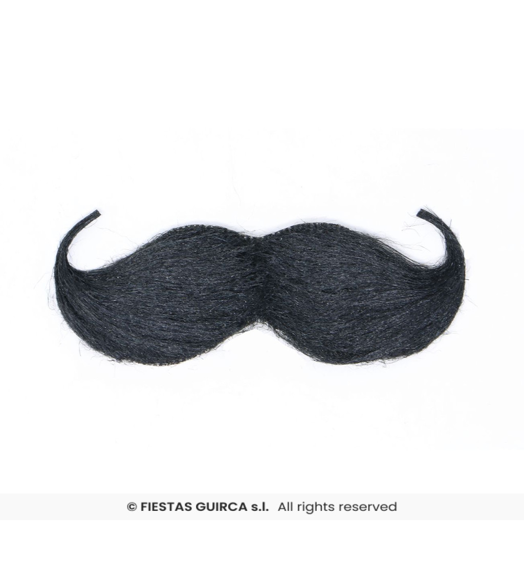 Knír anglický – černý