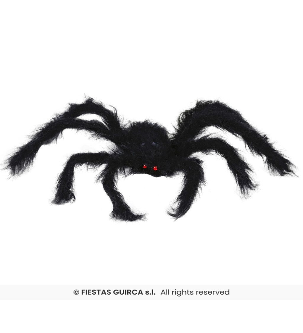 Velký černý pavouk