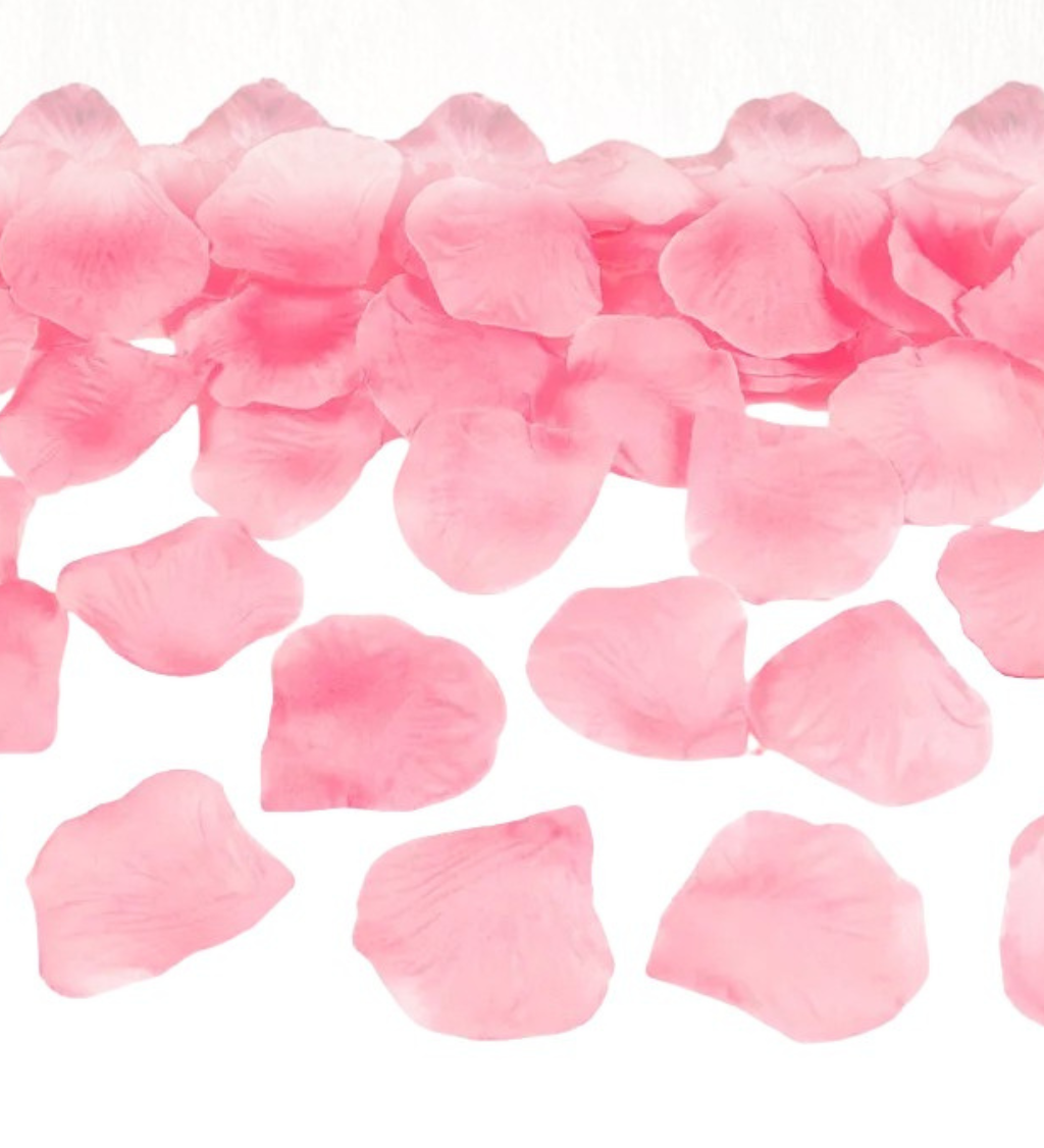 Světle růžové plátky růží