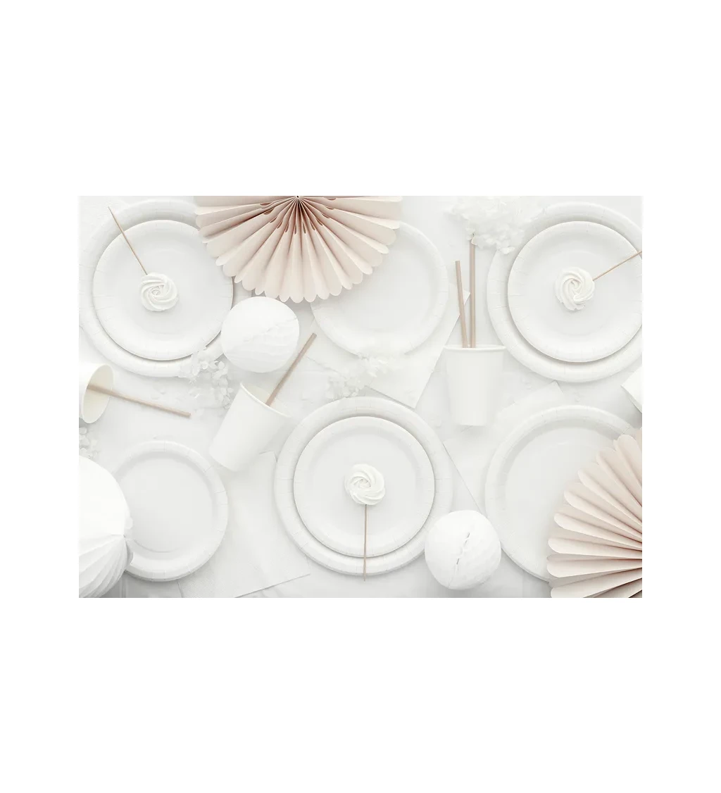 Bílé párty talířky