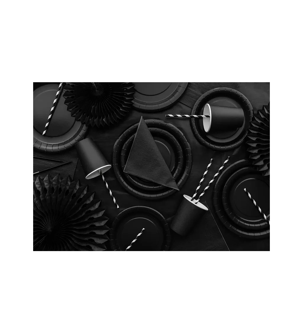 Černé párty talířky