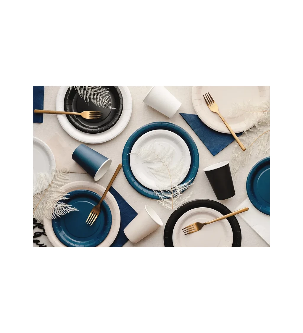 Černé párty talířky