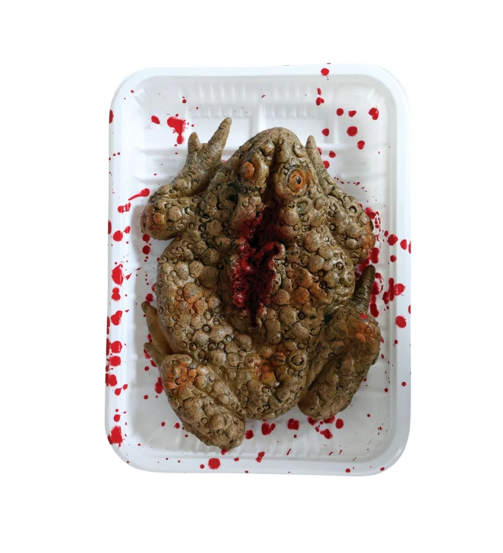 Krvavá žába Halloween dekorace