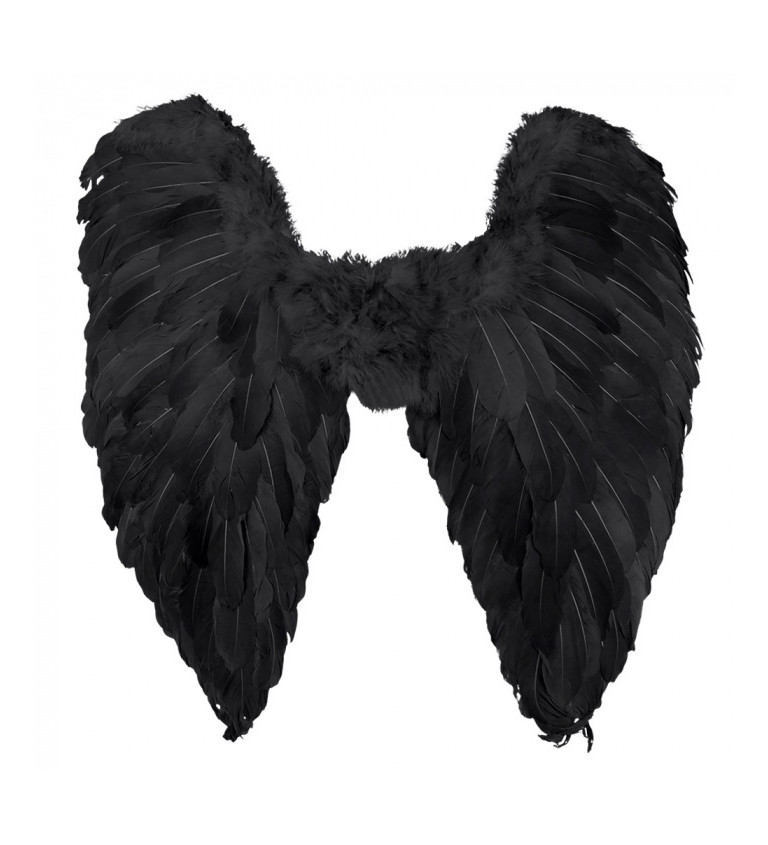 Černá křídla pro padlého anděla