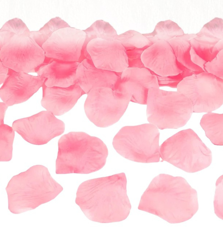 Světle růžové plátky růží